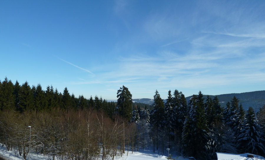 Der schne Ausblick in den Wald und die Berge.