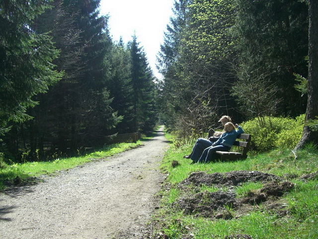 Der in der Nhe des Hauses liegende Wanderweg..- Anklicken geht zur Bildershow -