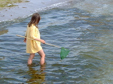 Klicken geht zur Diashow