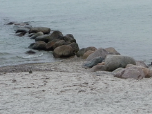 Klicken geht zur Diashow