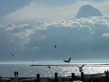 Klicken geht zur Diashow