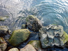 Klicken geht zur Diashow